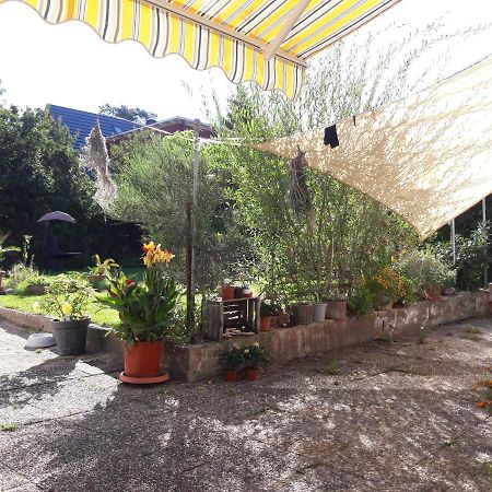 Ferienwohnung Lerchennest Georgensgmund 外观 照片