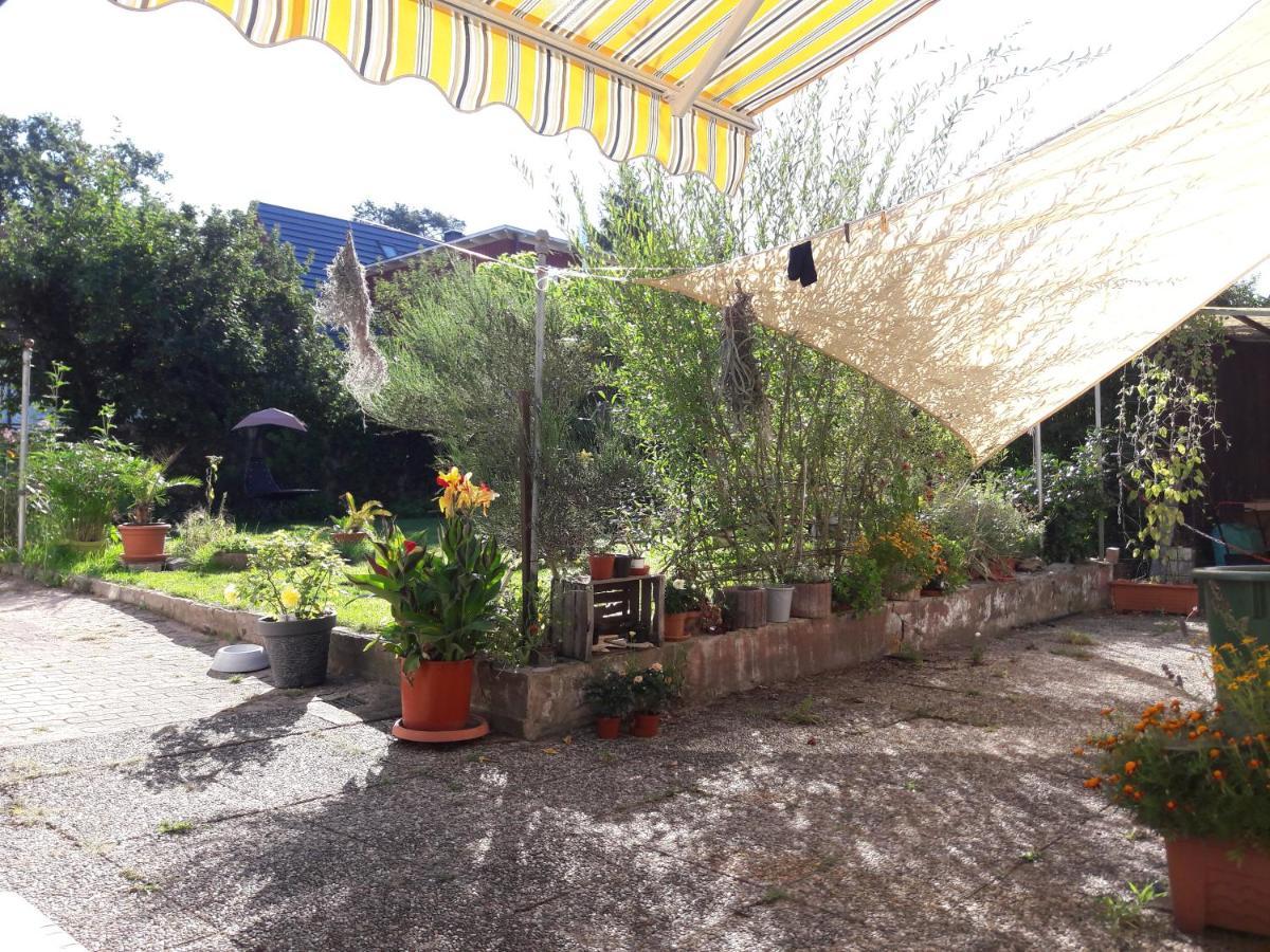 Ferienwohnung Lerchennest Georgensgmund 外观 照片