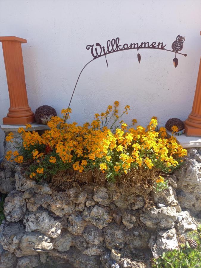 Ferienwohnung Lerchennest Georgensgmund 外观 照片