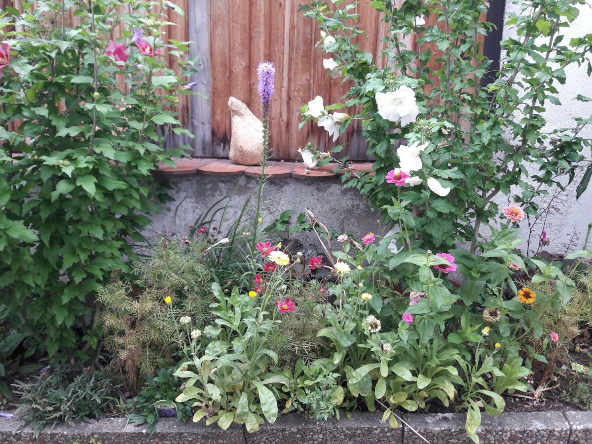 Ferienwohnung Lerchennest Georgensgmund 外观 照片