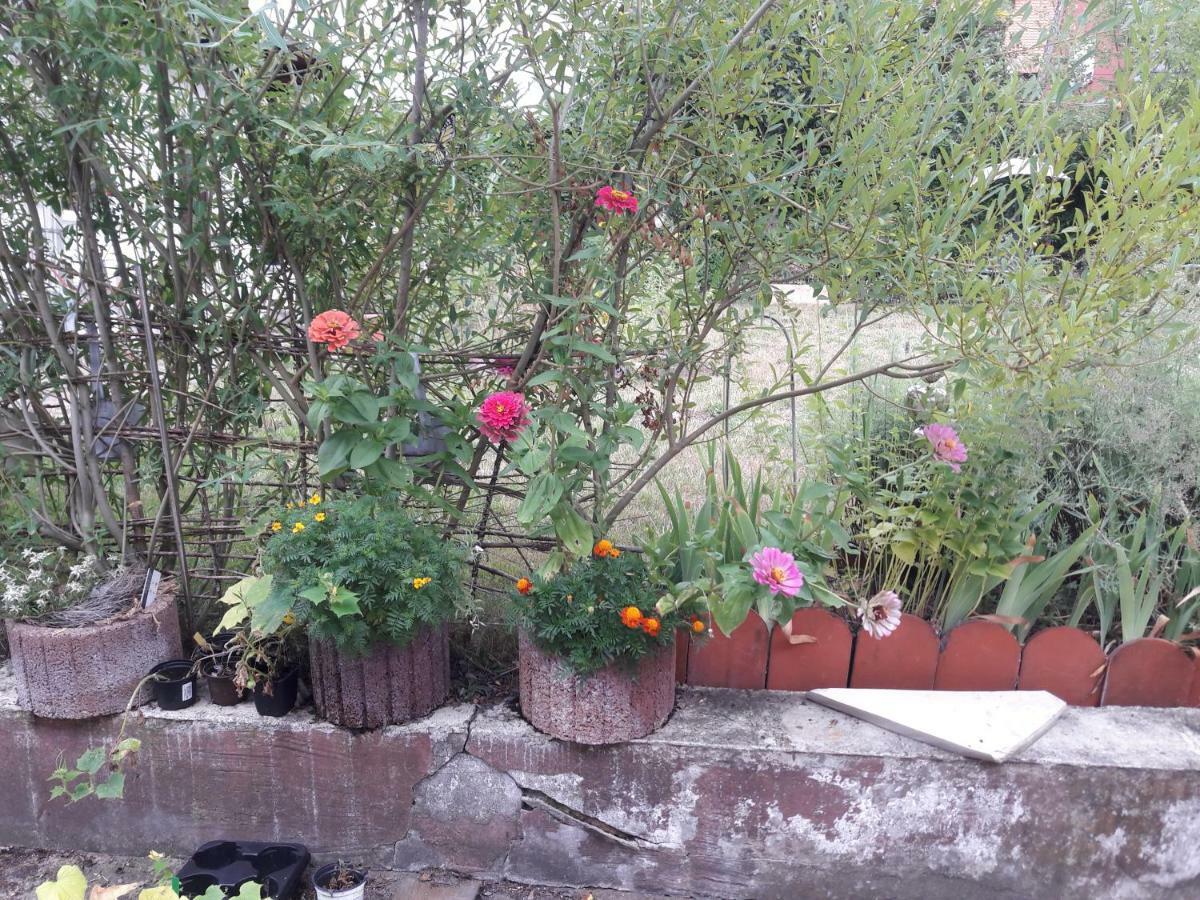 Ferienwohnung Lerchennest Georgensgmund 外观 照片